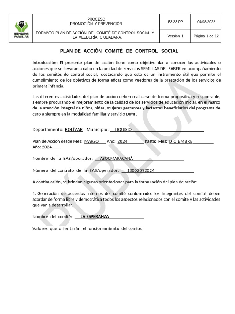 Plan de Acción Comité Control Social 2024 | PDF