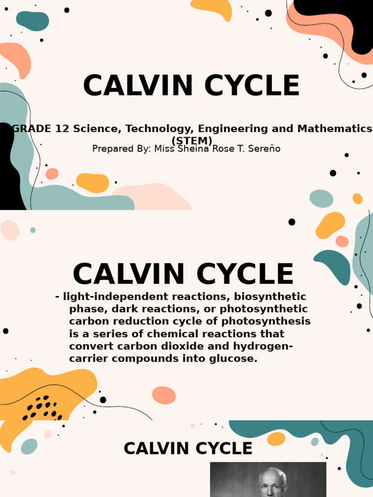 Lesson 4 Calvin Cycle | PDF | Photosynthesis | Biology