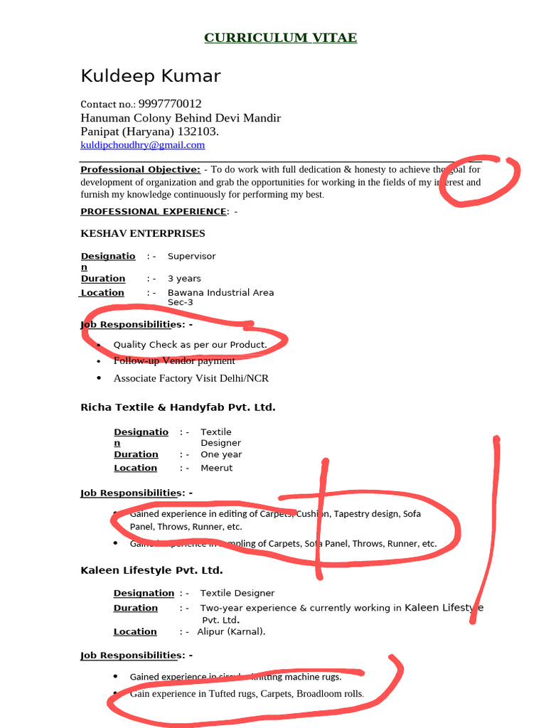Kuldeep Kumar's Textile Designer CV | PDF | Carpet | Handicrafts