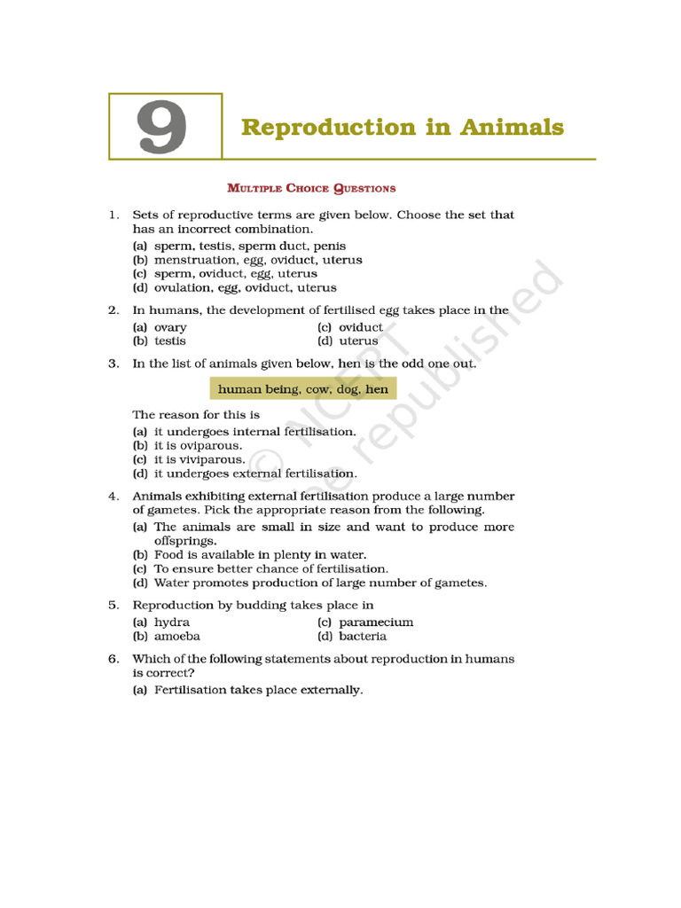 Class 8 Winter Break Holiday Work Science | PDF