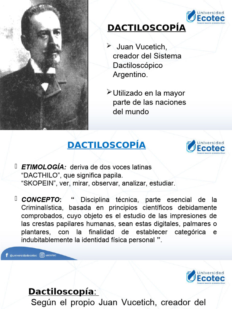 Dactiloscopía | PDF | Huella dactilar