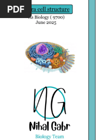 June 2025 As Notes  4