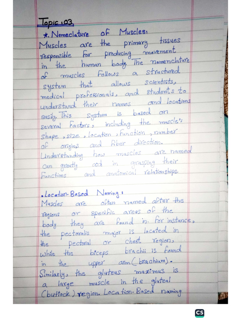 Anatomy Assignment Q.3 | PDF