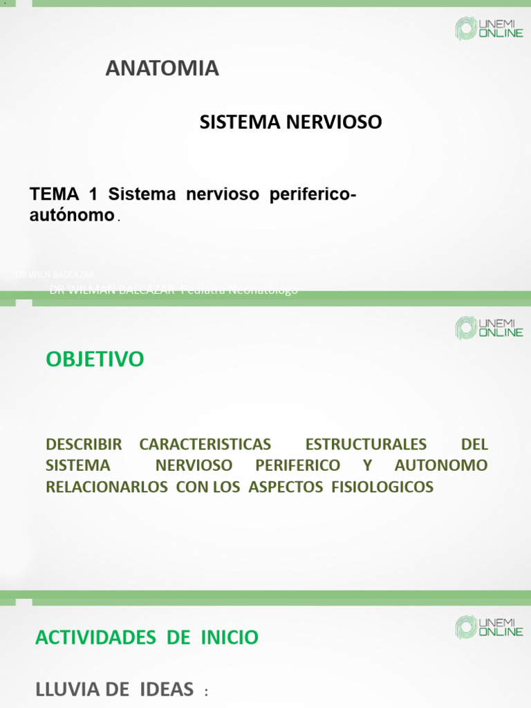Sistema Nervioso Periférico y Autónomo | PDF | Nervio | Sistema nervioso