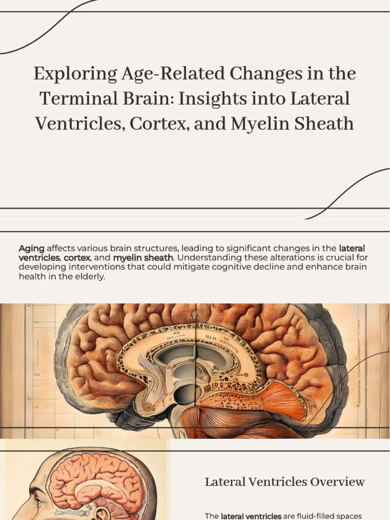 Slidesgo Exploring Age Related Changes in The Terminal Brain Insights ...