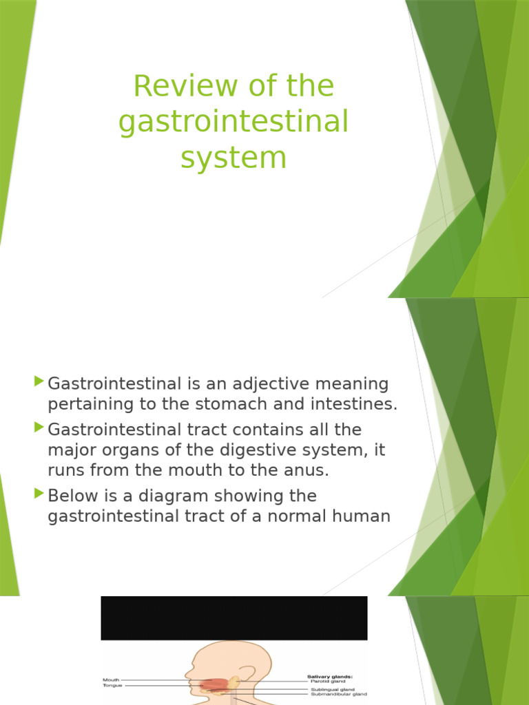 Understanding the Gastrointestinal System | PDF | Vomiting ...