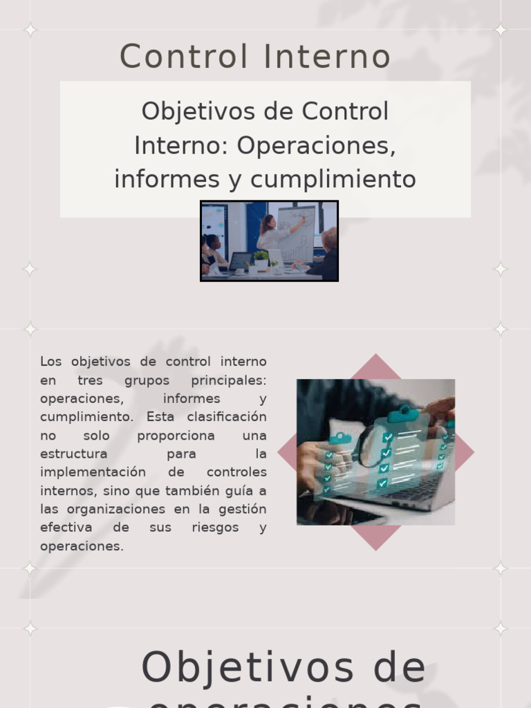 Control Interno (Auditoría) | PDF | Business | Auditoría