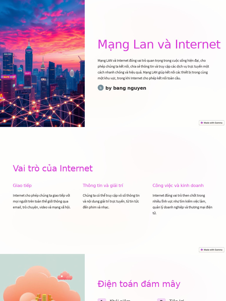 Mang Lan Va Internet | PDF