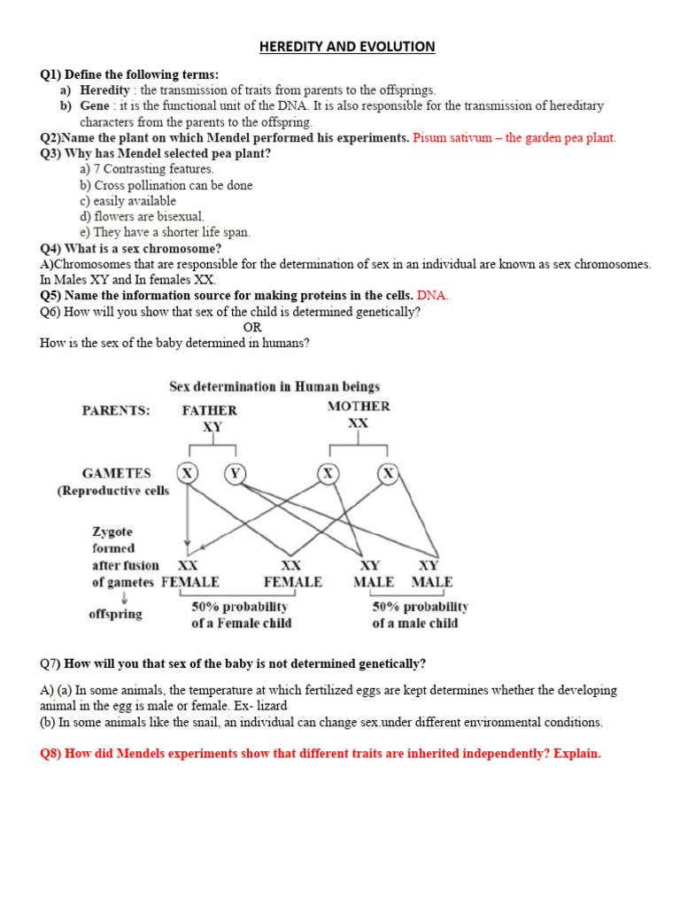 Compressed Notes 3 | PDF