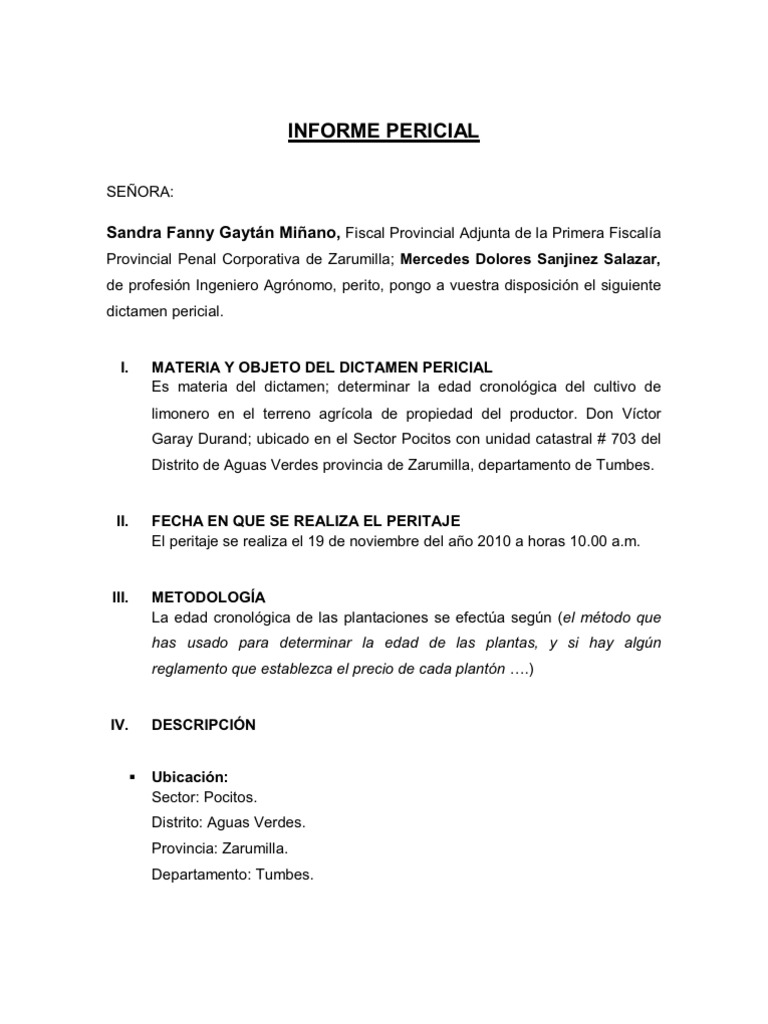 INFORME PERICIAL
