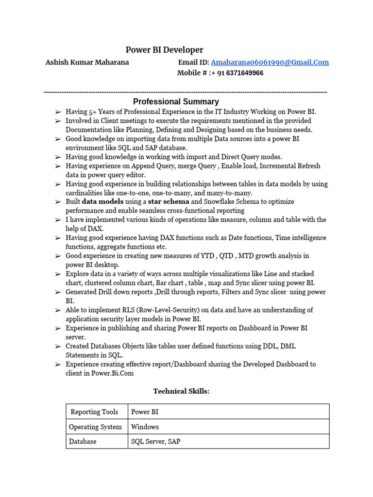 Power BI Developer Resume Summary | PDF