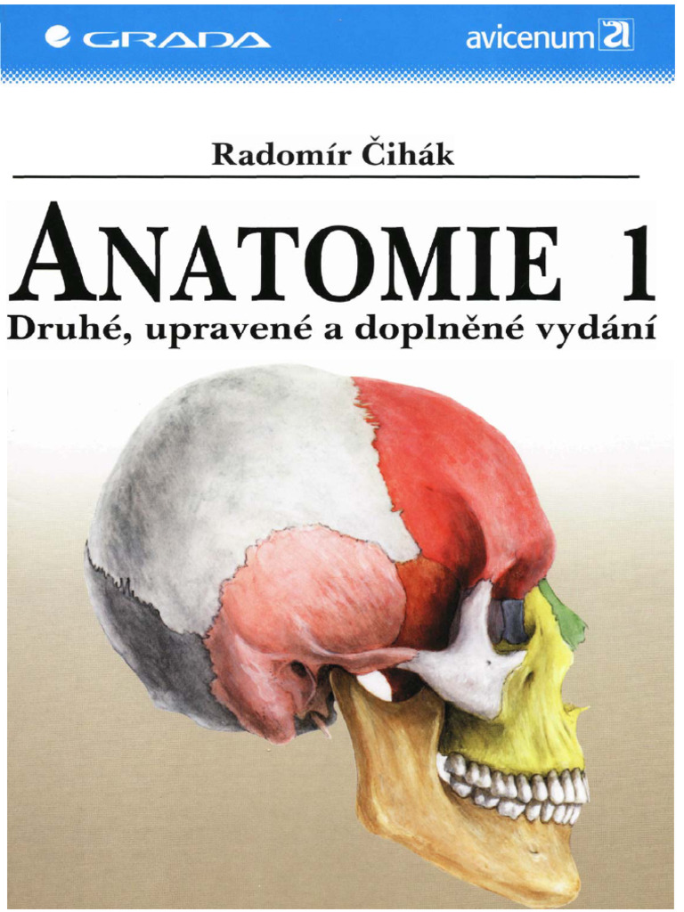 Anatomie Cihak | PDF