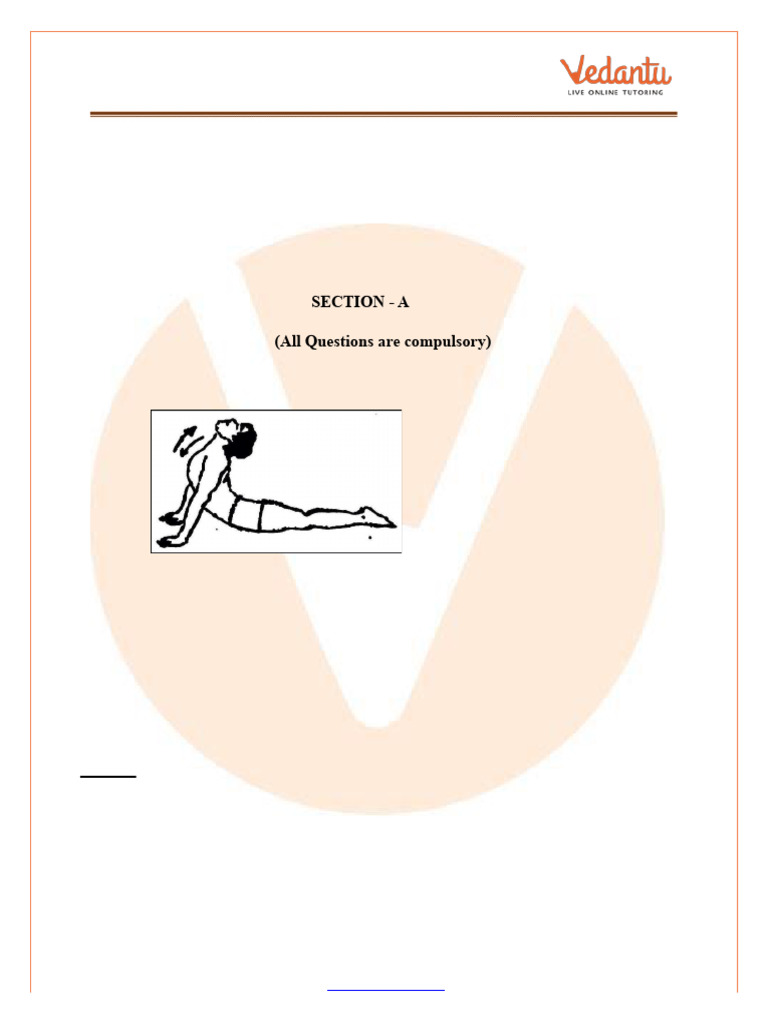ARIHANT SAMPLE PAPER CLASS 12 2023 PDF DOWNLOAD PHYSICAL EDUCATION visual data 8