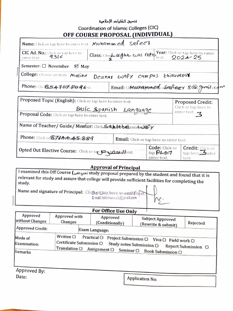 PROPOSAL IN SPANISH MEANING visual data 4