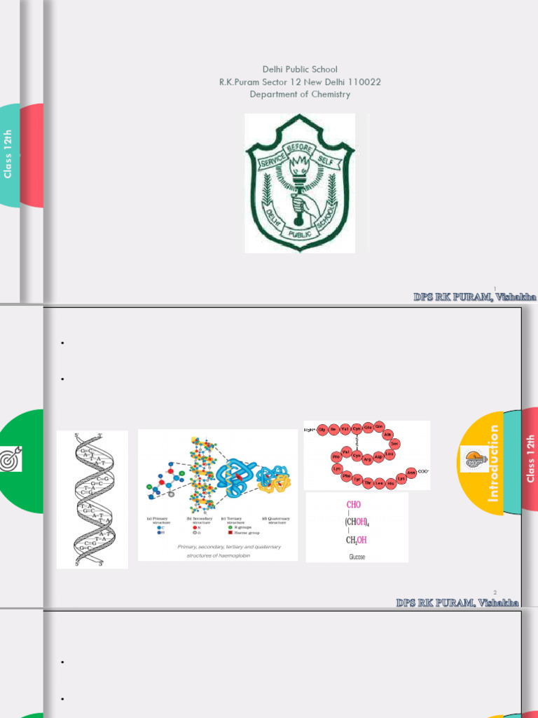 Understanding Biomolecules in Chemistry | PDF | Carbohydrates | Glucose