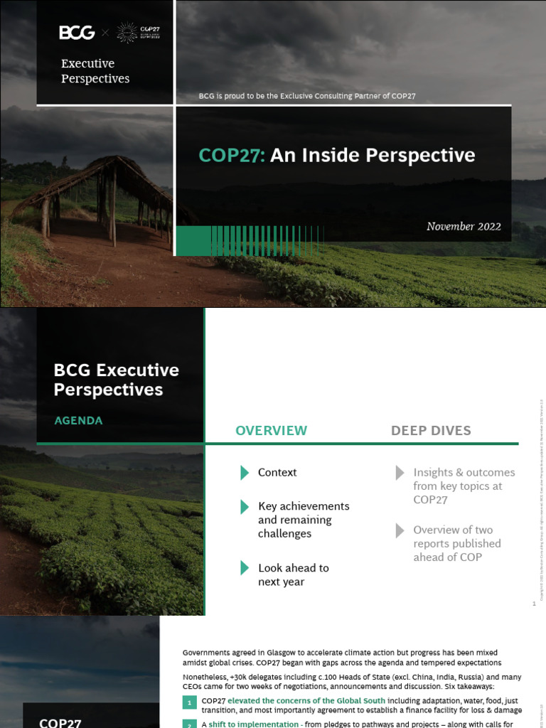 BCG Executive Perspectives COP27 An Inside Perspective | PDF | Climate ...