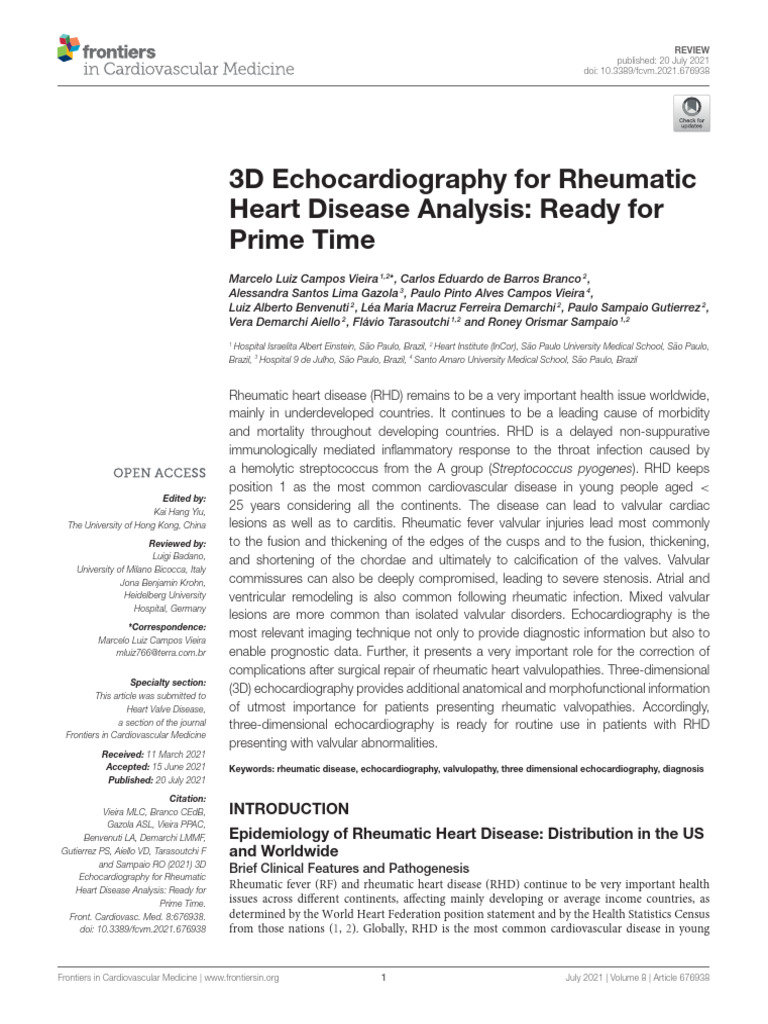 3D Echocardiography For Rheumatic Heart Disease Analysis - Ready For ...