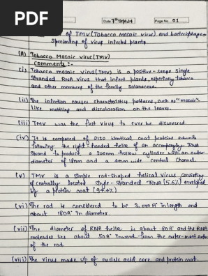 Tobacco Mosaic Virus Overview | PDF | Health Sciences