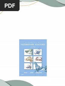 Textbook of Veterinary Anatomy 4th Edition Keith M. Dyce Dvm & S Bsc Mrcvs download pdf
