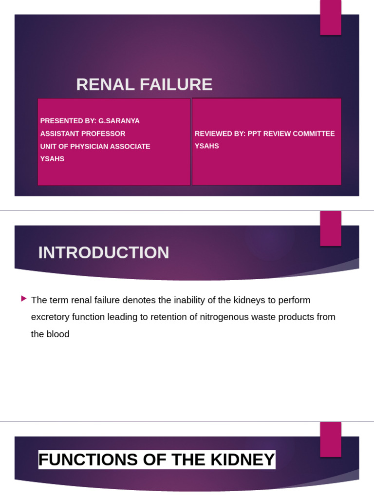 Kidney intelligence overview