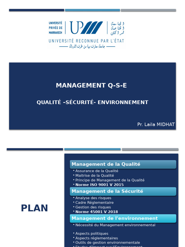 Management QSE : Qualité, Sécurité, Environnement | PDF | Management de ...