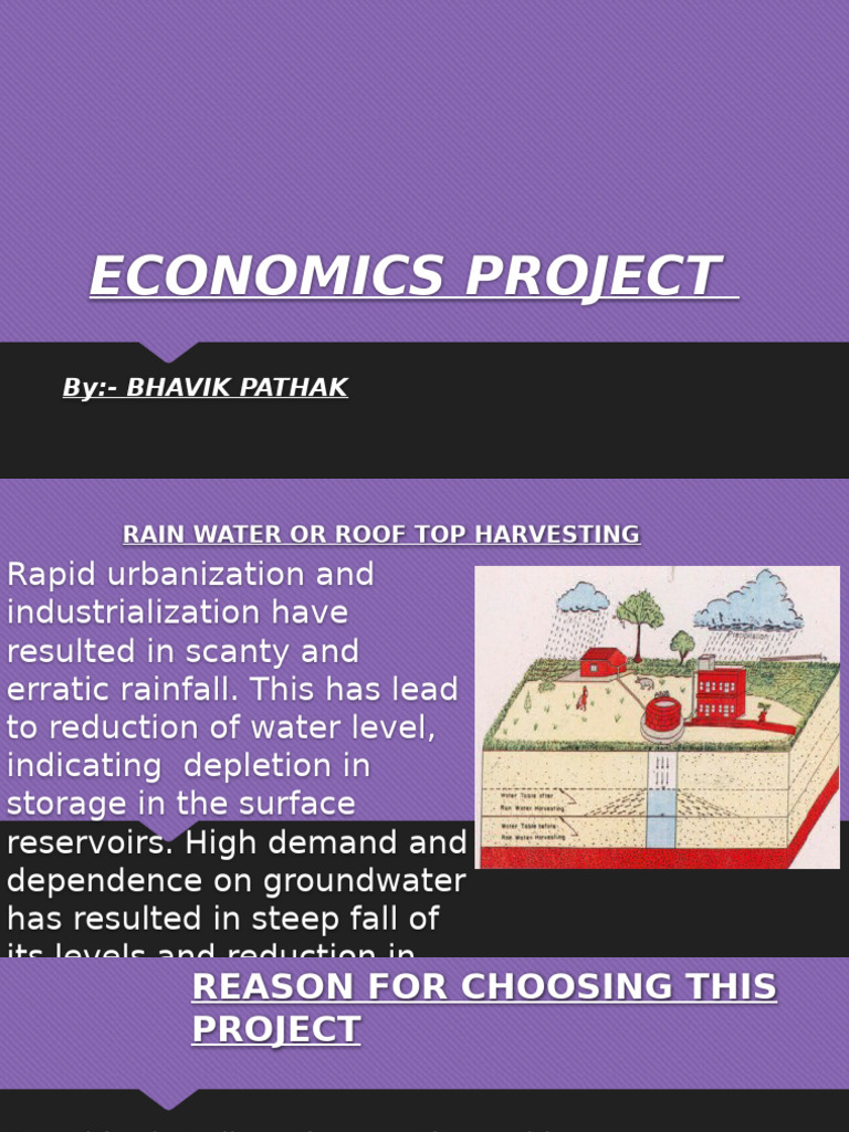 Economics Project Work 2024-25 Bhavik Pathak 11 Commerce | PDF ...