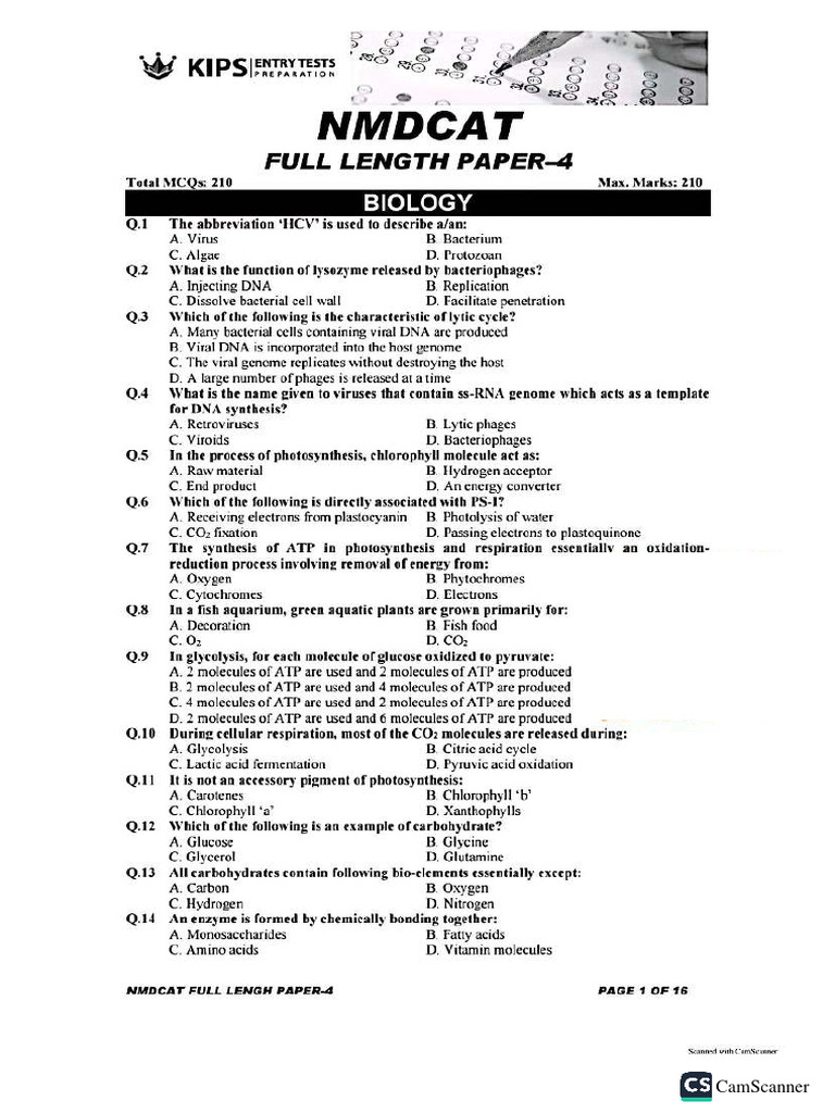 KIPS FLP 4 PakLearningSpot | PDF