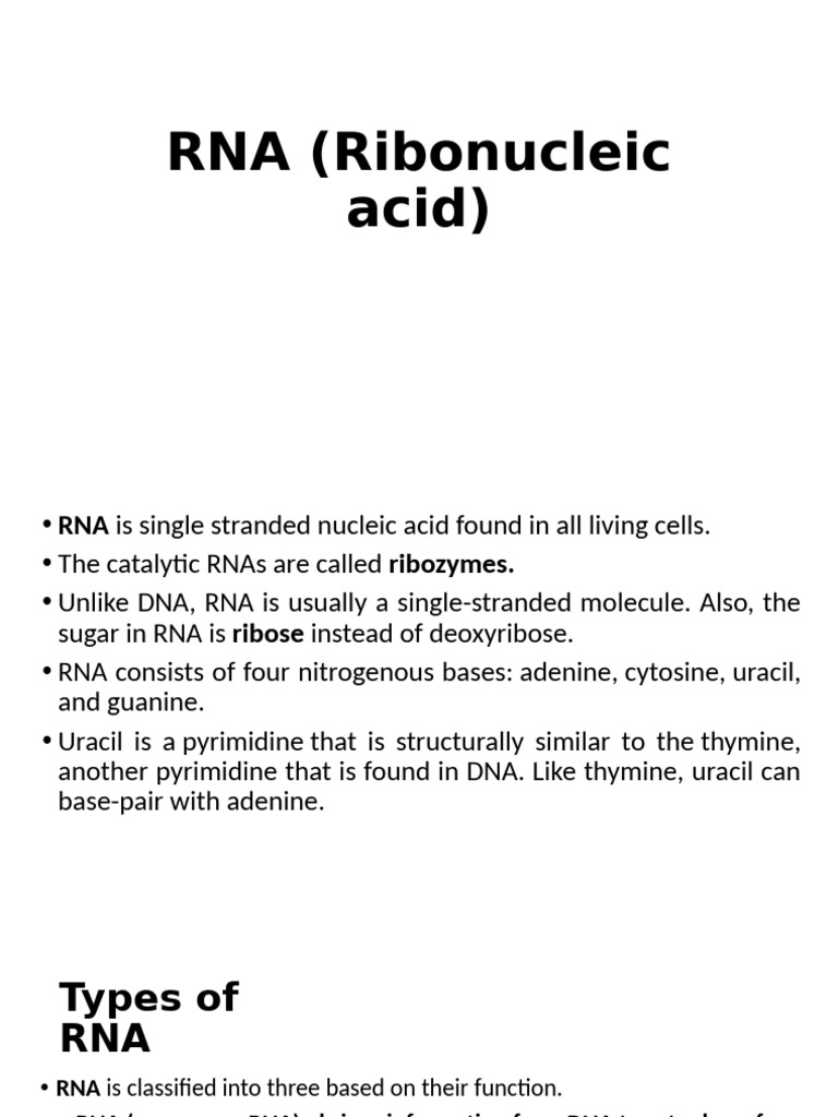 Genetics(RNA)_2 | PDF | Rna | Messenger Rna