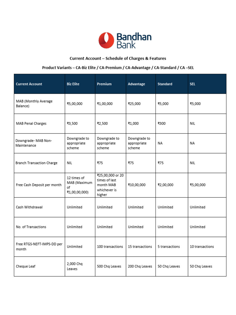 Current Account Charges & Features Guide | PDF | Transaction Account ...
