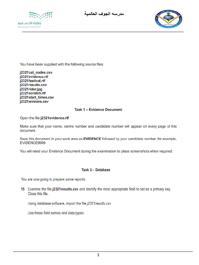 Computer Science Access Program Guide | PDF