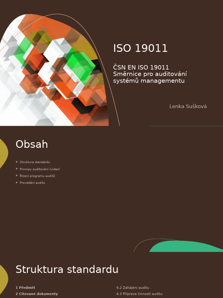 Iso 19011 | PDF