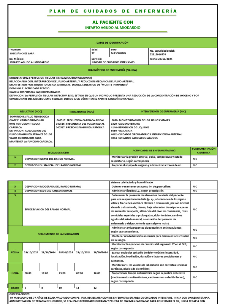 Formato de Plan de Cuidados | PDF | Infarto de miocardio | Causas de la ...