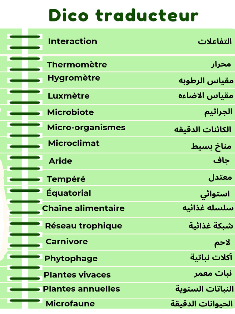 Dictionary Skills Educational Poster in Pink White Simple Style | PDF