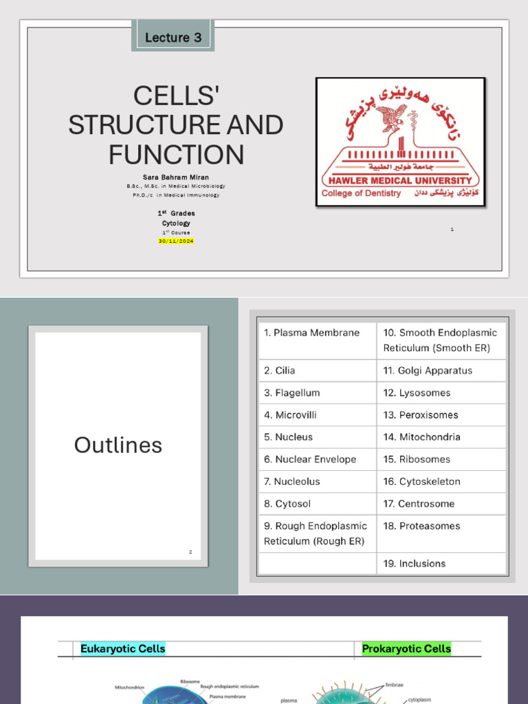 Lecture 2 | PDF