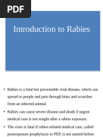 WHO Rabies Vaccination Schedule 2024 | PDF