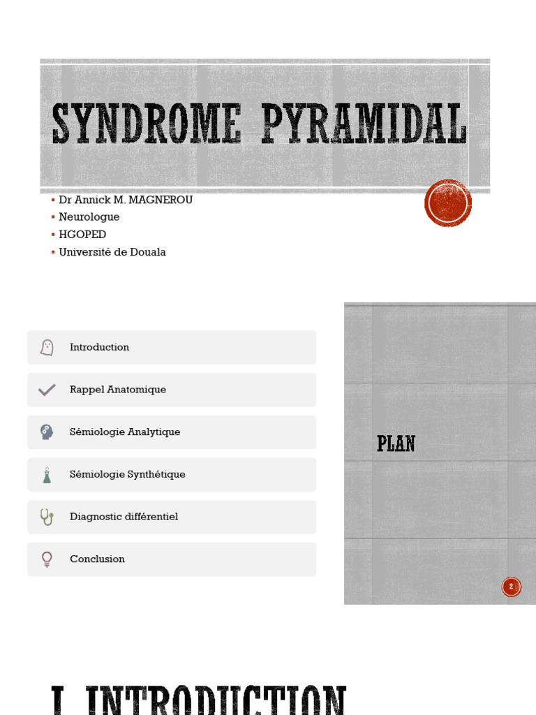 Diagnostic du Syndrome Pyramidal | PDF | Système nerveux | Troubles ...