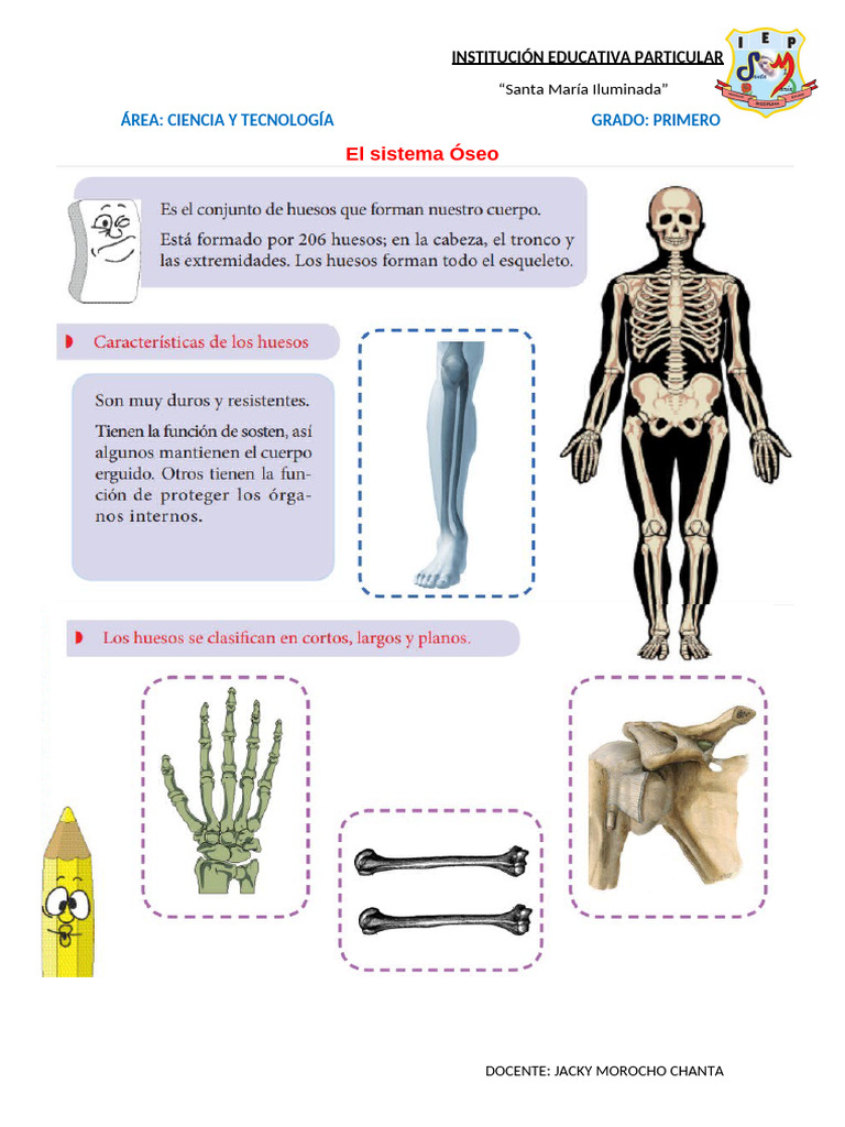 Ciencia y Tecnología - Semana 2-Primer Grado | PDF