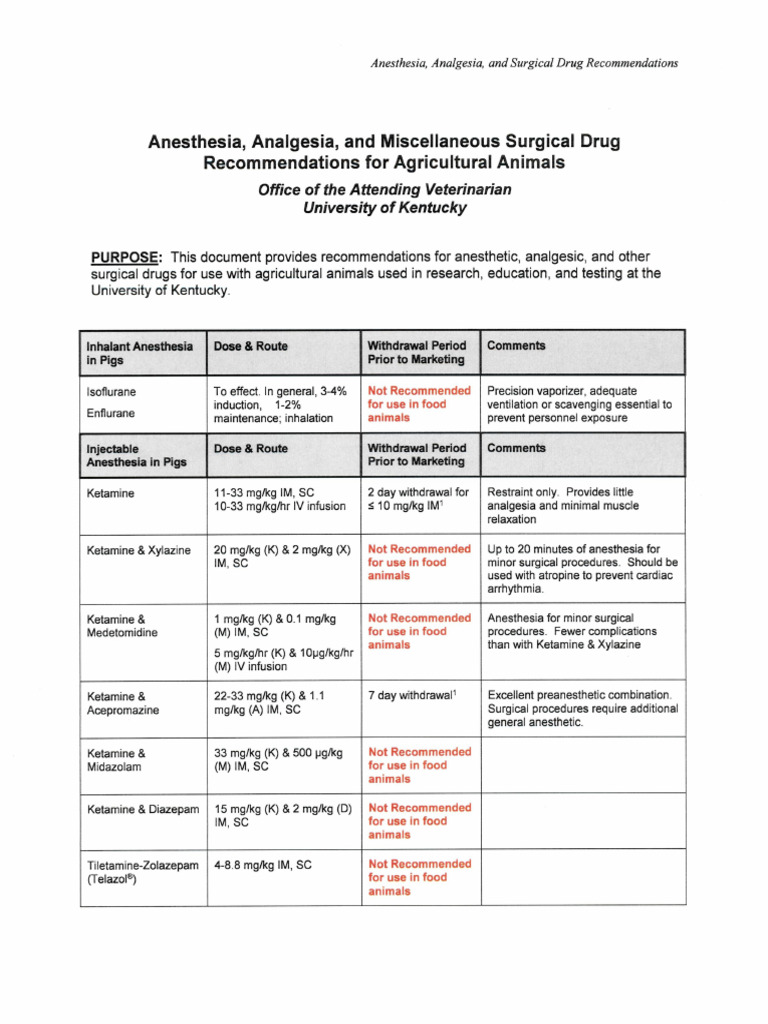 Large Animal Anesthesia and Analgesia | PDF