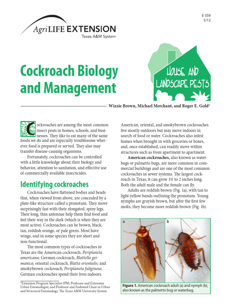 Cockroach Biology and Control Guide | PDF | Insects