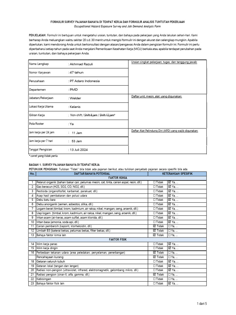 Formulir Job Demand dan Hazard Survey Akhmsd Razuli | PDF