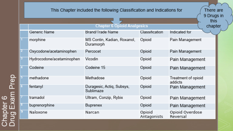 Chapter 6 Opioid (Narcotic) | PDF