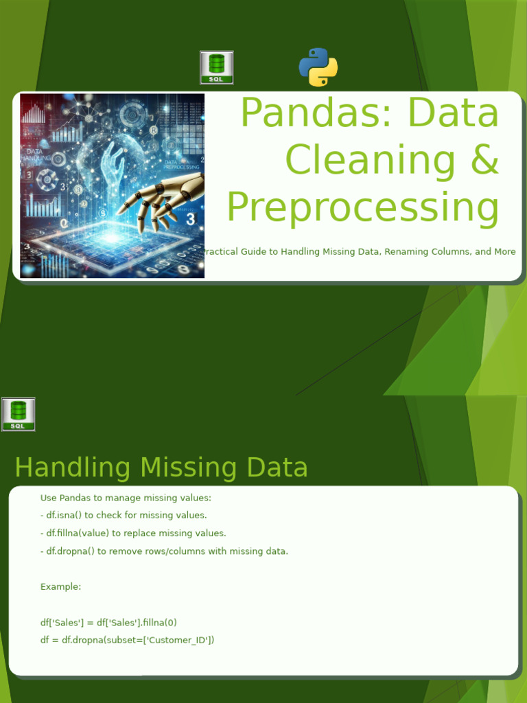 Pandas Data Cleaning Presentation | PDF | Software Engineering | Data