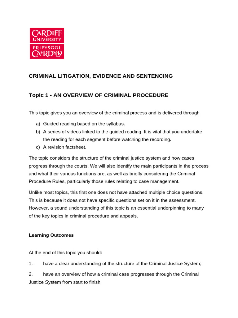Overview of Criminal Procedure Basics | PDF | Criminal Procedure In ...