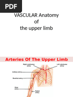Upper Extremity Vascular Anatomy | PDF | Hand | Arm