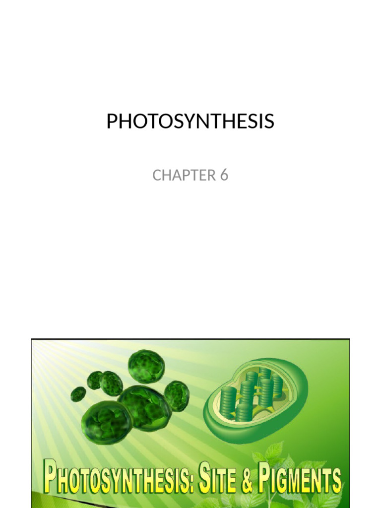 CHP 6 Photosynthesis | PDF