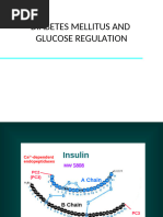 Insulin Types: Diabulyn vs Insugen | PDF | Insulin | Diabetes