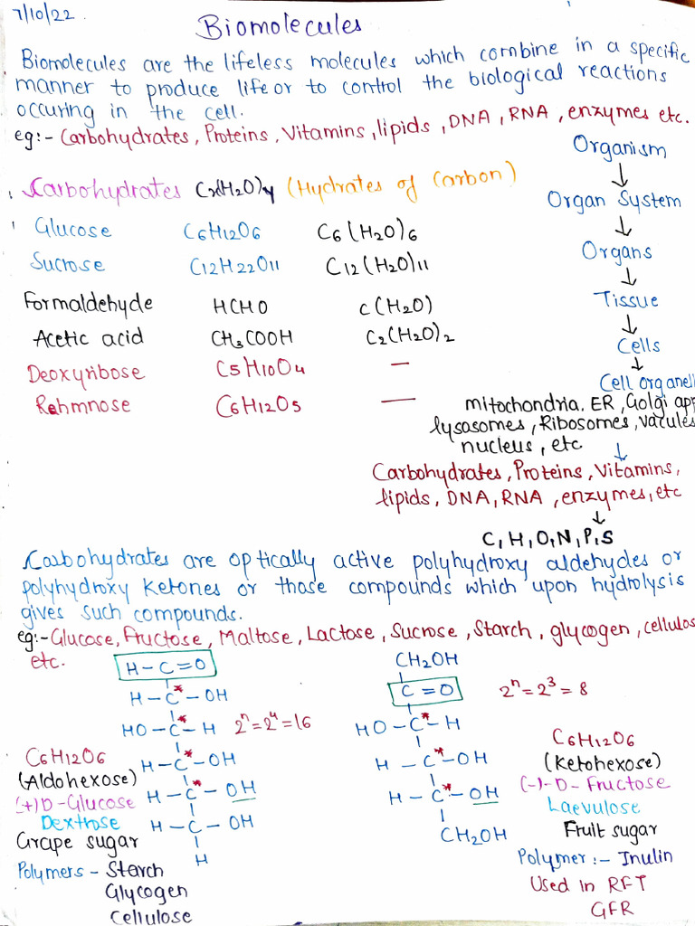 Biomolecules: Carbohydrates Overview | PDF | Carbohydrates | Glucose