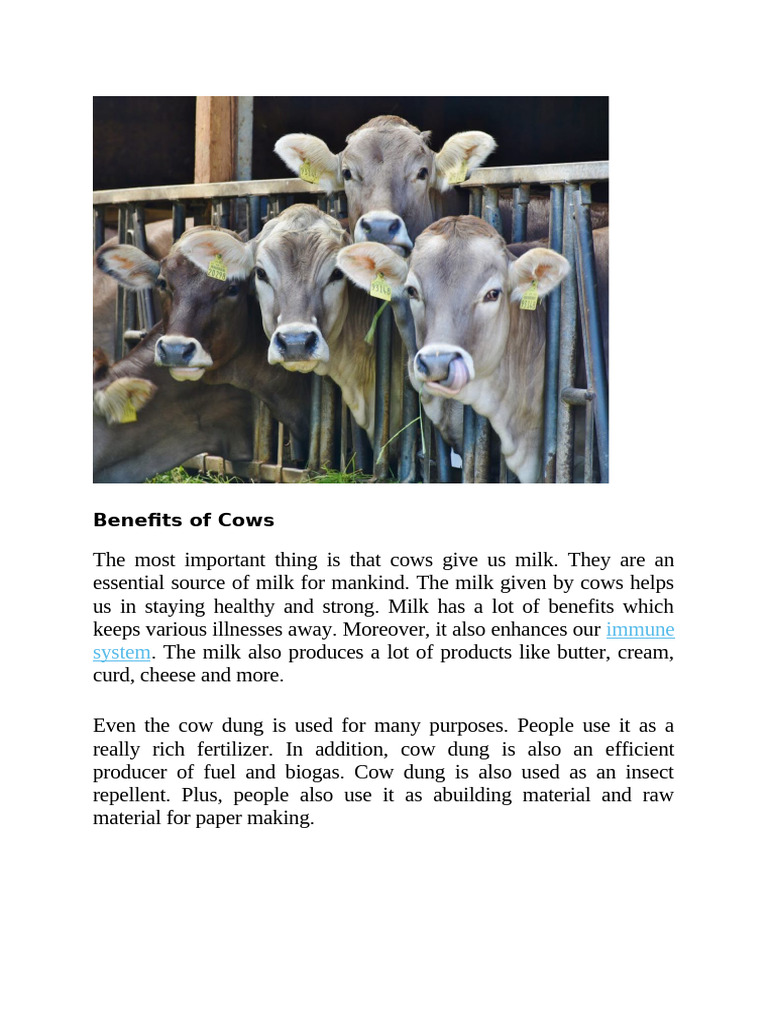 Key Benefits of Cows to Humans | PDF