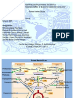 Rutas Metabol