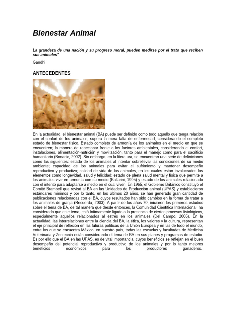 Bienestar Animal en el Faenamiento Bovino | PDF | Glucocorticoides ...